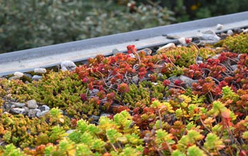 the cost of Shafton green roof installation