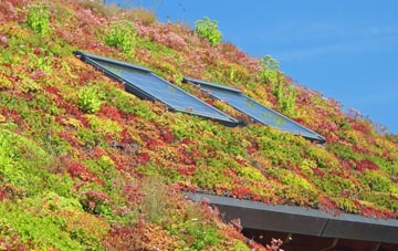 Shafton living roof systems