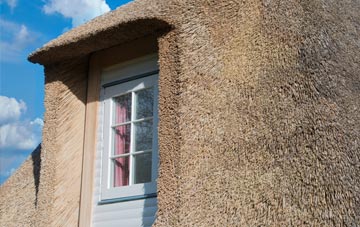 Shafton thatch roof disadvantages