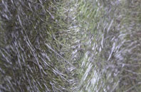 Shafton fibreglass roof work